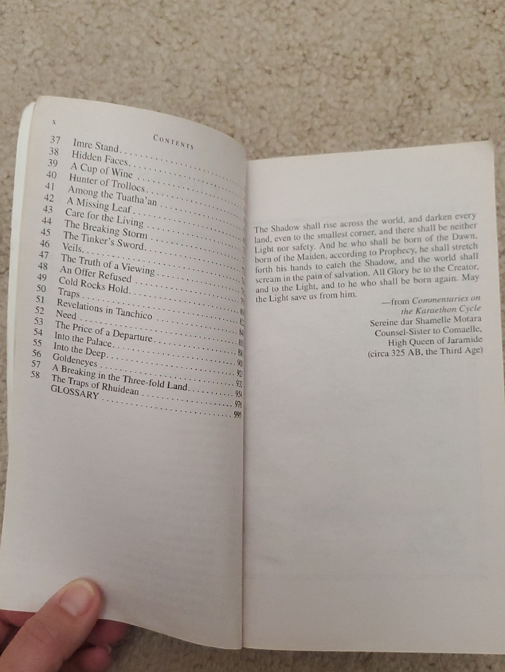 "The Shadow Rising" novel - Picture 8 of 11